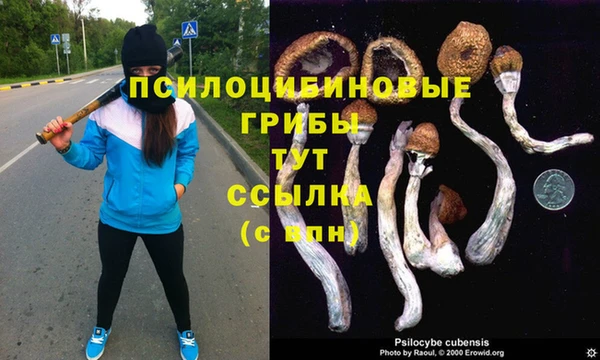 соль курить ск Вяземский
