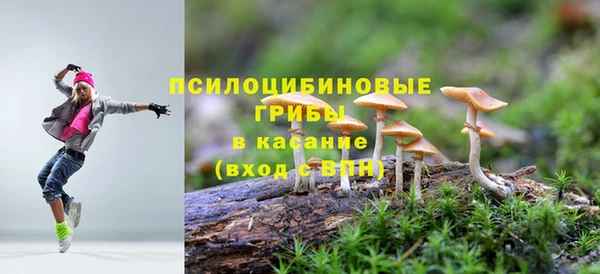ECSTASY Волосово