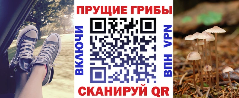 купить наркотик  Володарск  Галлюциногенные грибы MAGIC MUSHROOMS 